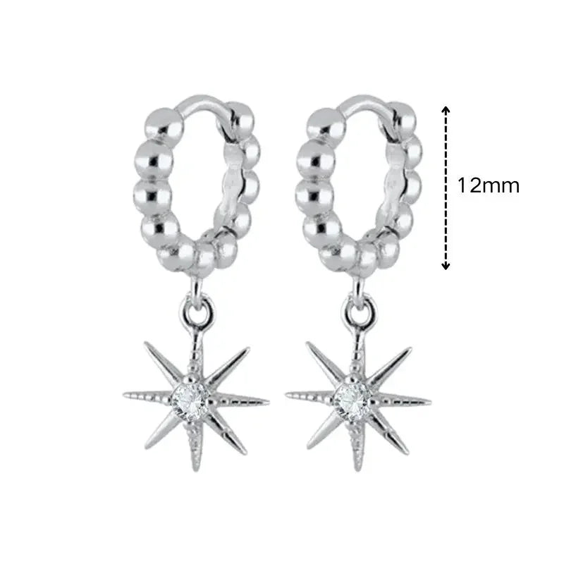 925 Sterling Silver Ear Needle White Zircon Silver Series Earrings ins Tassel Pendant Hoop Earrings For Women Advanced Jewelry