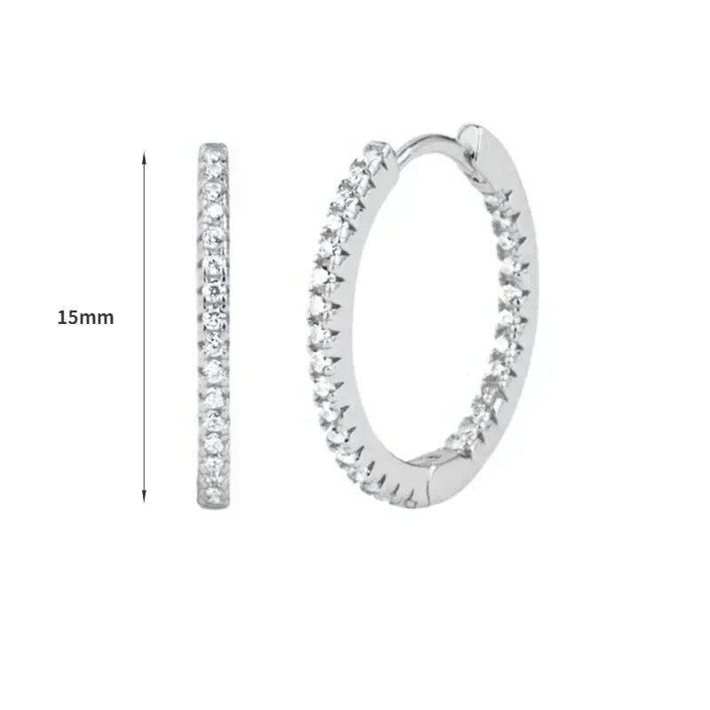 925 Sterling Silver Ear Needle White Zircon Silver Series Earrings ins Tassel Pendant Hoop Earrings For Women Advanced Jewelry