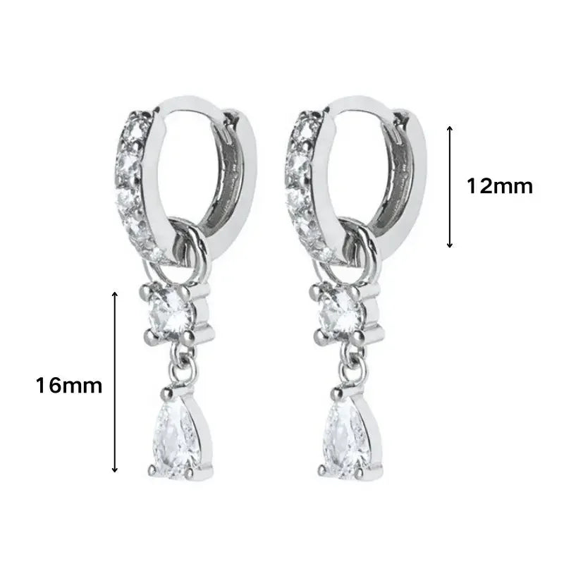 925 Sterling Silver Ear Needle White Zircon Silver Series Earrings ins Tassel Pendant Hoop Earrings For Women Advanced Jewelry