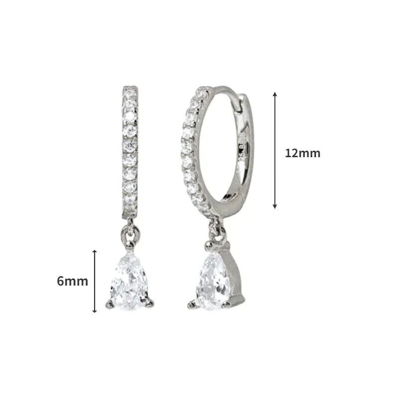 925 Sterling Silver Ear Needle White Zircon Silver Series Earrings ins Tassel Pendant Hoop Earrings For Women Advanced Jewelry