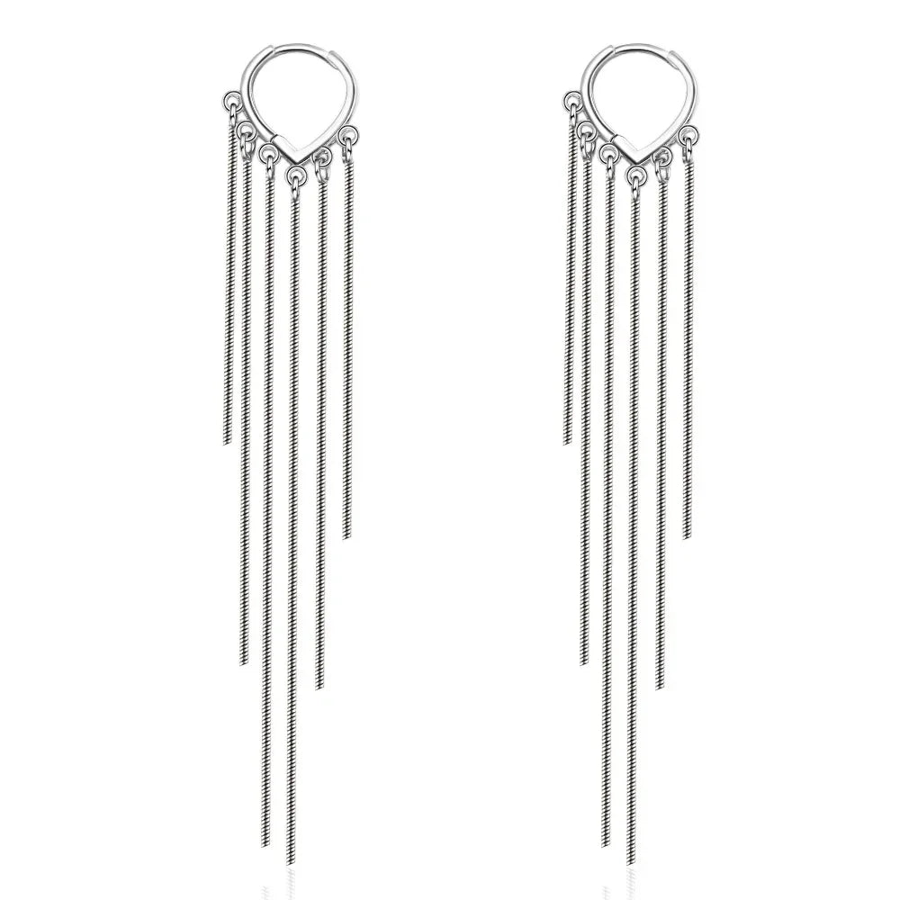 925 Sterling Silver Ear Needle White Zircon Silver Series Earrings ins Tassel Pendant Hoop Earrings For Women Advanced Jewelry